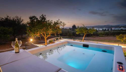 Orange Tree - Photo 5