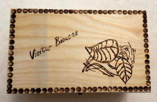 VISITAR BIOUCAS I - Casa Inteira Familiar e Grupo de Amigos - Foto 22