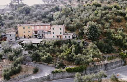 Tenuta Lombrica - Foto 29