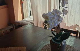 Deliziosa casetta Calasetta - Foto 9