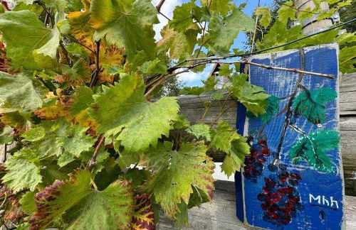 BERG WELT im Erzgebirge - Photo 35