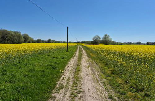 Feriendomizil im Lieper Winkel - Foto 13