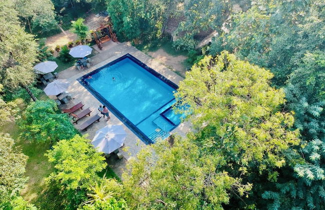 Woodland Sanctuary - Photo 16