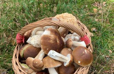 Projekt Przełazy - Foto 48