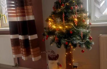 Apartament EWCIA - Foto 14