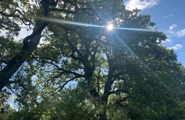 Aspen Leaves: The perfect farm retreat - Foto 21