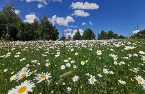 Butterfly Factory - Foto 48