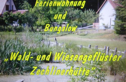 Wald&Wiesengeflüster Zechlinerhütte - Foto 29