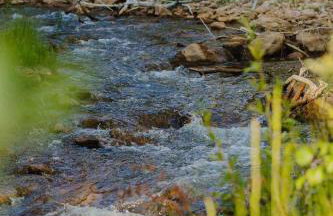 Zen Zion Evergreen Dome - Photo 34