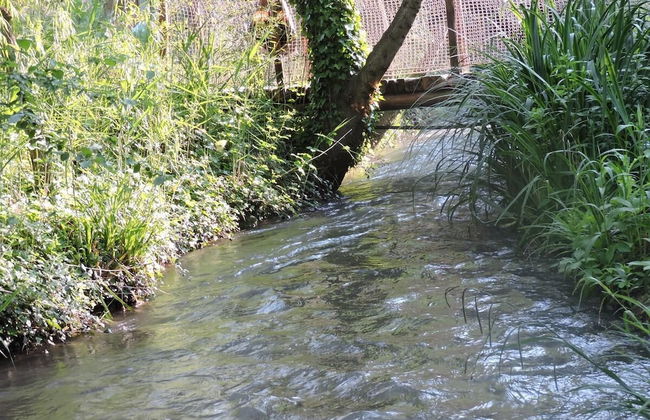 La Nesquière - Photo 55