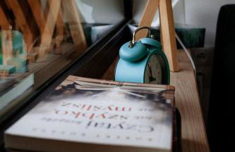 Domki Pod Lasem - Domek Brzozowy - Foto 30