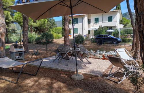 Riccio di Mare - Foto 29