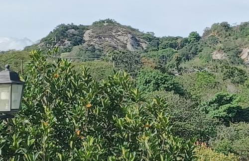 Sitio Esquina da Serra - Foto 50