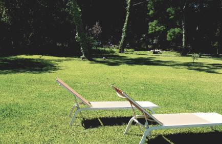 Casa da Mata - Foto 35