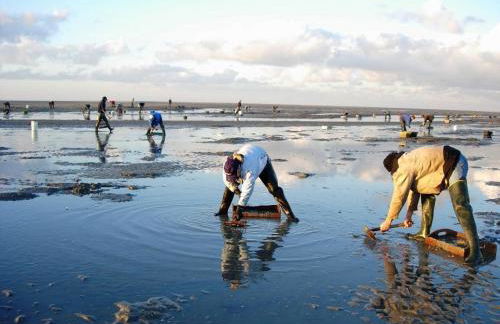le gîte de Martine en Baie de Somme - Foto 57