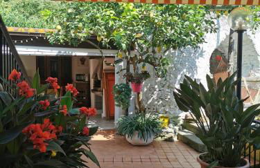 "Lemon Tree House"for Climbers and Mtb - Foto 9