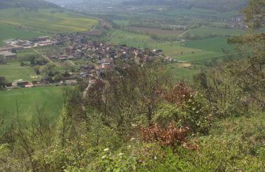 Ferienwohnung Saaletalblick - Foto 30