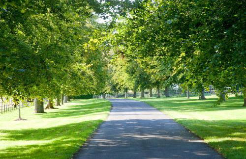 Jerards Stables - Foto 34