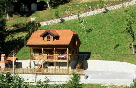 Vila Trnoružica - Foto 47