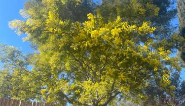 Chalet nature proche plage - Foto 2