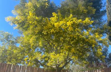 Chalet détente proche plage - Foto 20