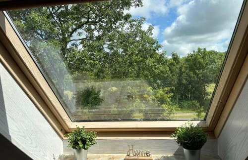 Ferienwohnung "Lütt Welt" - Foto 16