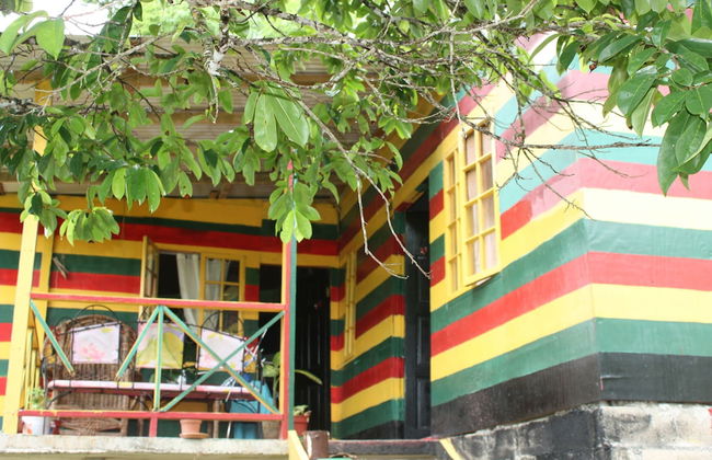 Nature in portland - Foto 21