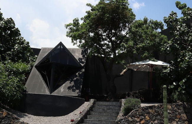 Bosque Geométrico - Foto 4