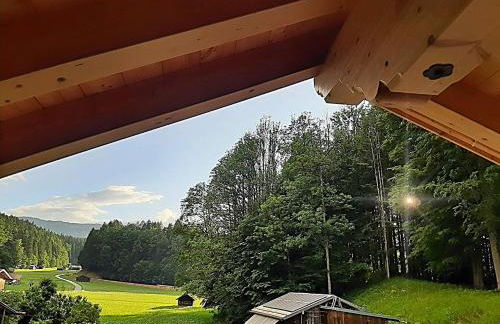 Ferienwohnungen Pfanzelter - Foto 41