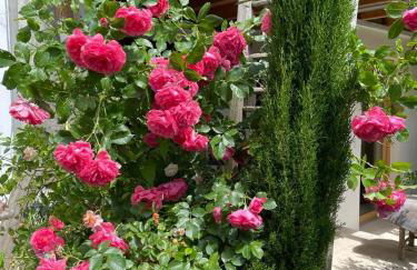 Albliebe am Rosenbühl - Photo 14