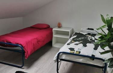 Belle maison spacieuse proche Genève et CERN - Foto 12