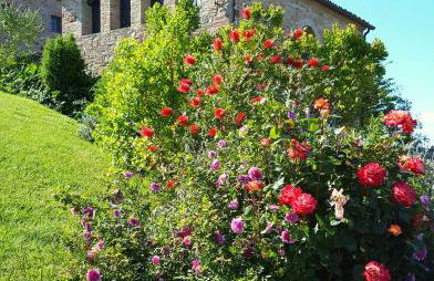 Podere Cunina - Foto 23