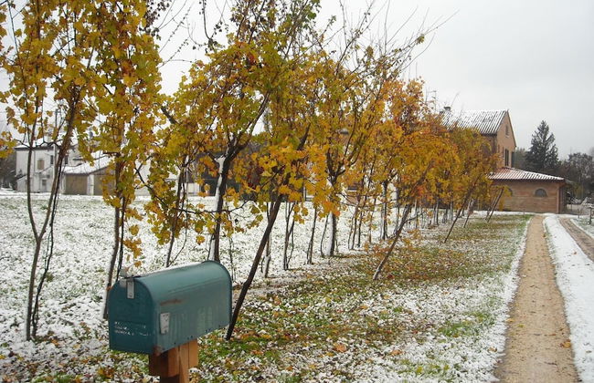 Agriturismo Loghino Sabbioni - Photo 24