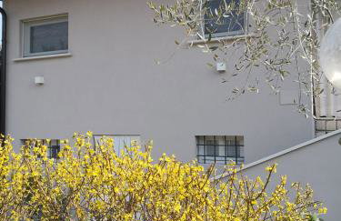 Note di lago - Photo 16