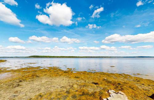 Harbor Myst - Foto 27