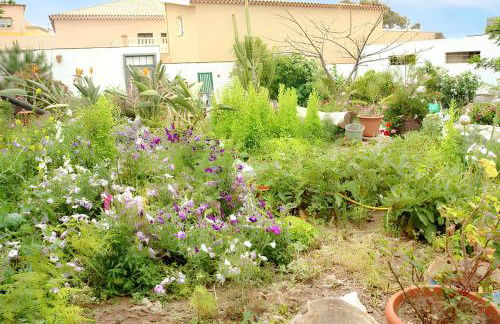 Charming house in San Cristóbal de La Laguna with shared pool - Foto 22