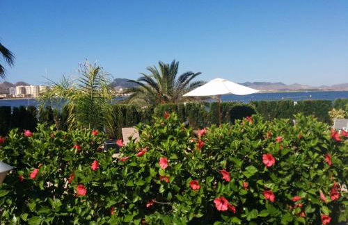 El Vivero del Mar Menor - Foto 40