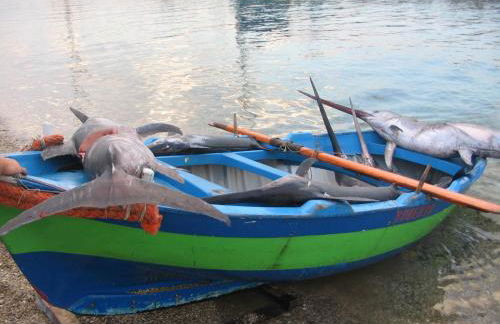 La casa tra i laghi - Foto 75