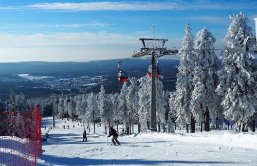 HIRSCH Hänsel Ferienhaus Garten mit Bergblick - Grill -Wald - Foto 47