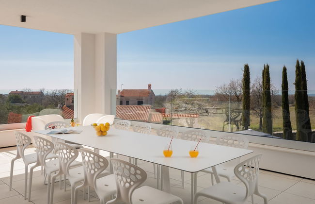 Old Olive I - Foto 3