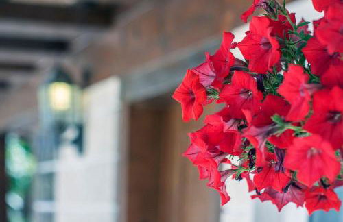 Villa Amendoa - Foto 53