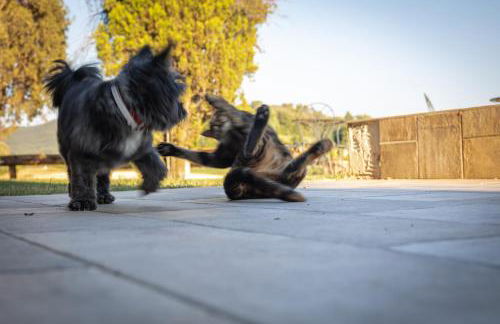 Agriturismo San Carlo - Foto 15