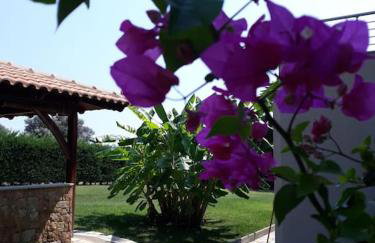 Seaside Villa in Chalkidiki - Foto 8