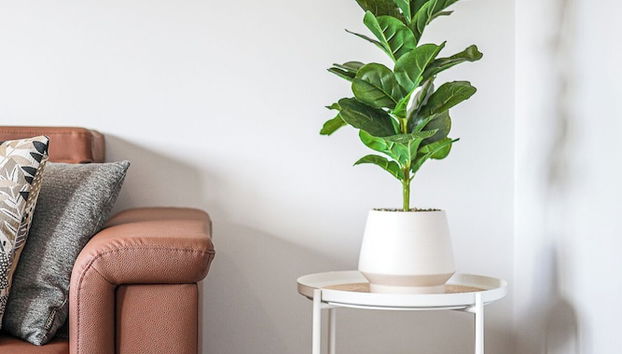 Detalle del interior