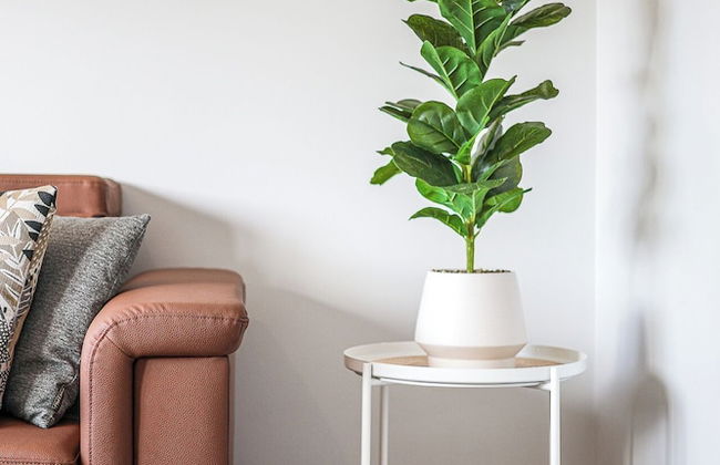 StayAU Gorgeous 5BR BBQ Home Geelong - Foto 4