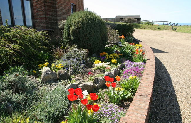 Chale Bay Farm - Photo 48