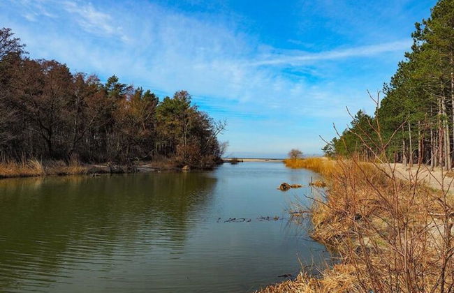 Wooden Summer Houses, Bobolin - Photo 19