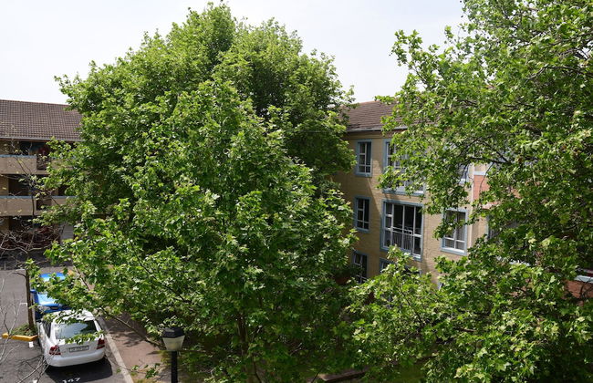 Bradclin @ Mutual - Foto 28