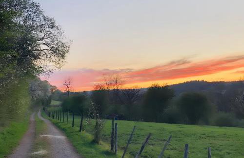 Ferienhaus Sötenicher Mühle - Photo 22