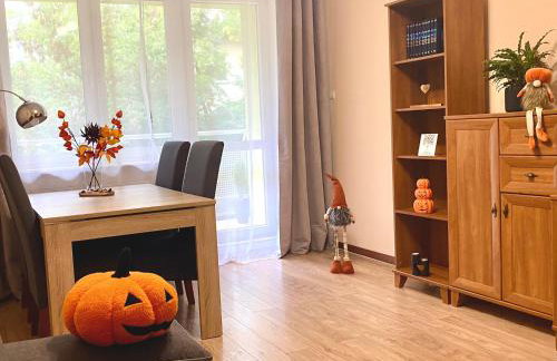 Apartament na Saperskiej, osiedle zamknięte, parking - Foto 12